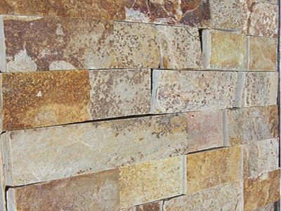 gneiss YELLOW SPOTTED